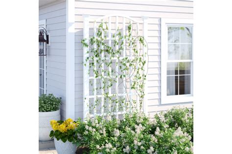trellis meaning.